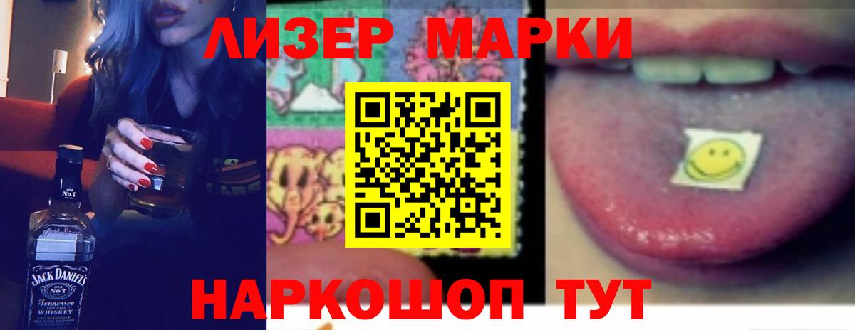 Кингисепп  Лсд 25 экстази  Вход с VPN  ЛСД экстази кислота  Лсд 25 экстази кислота 