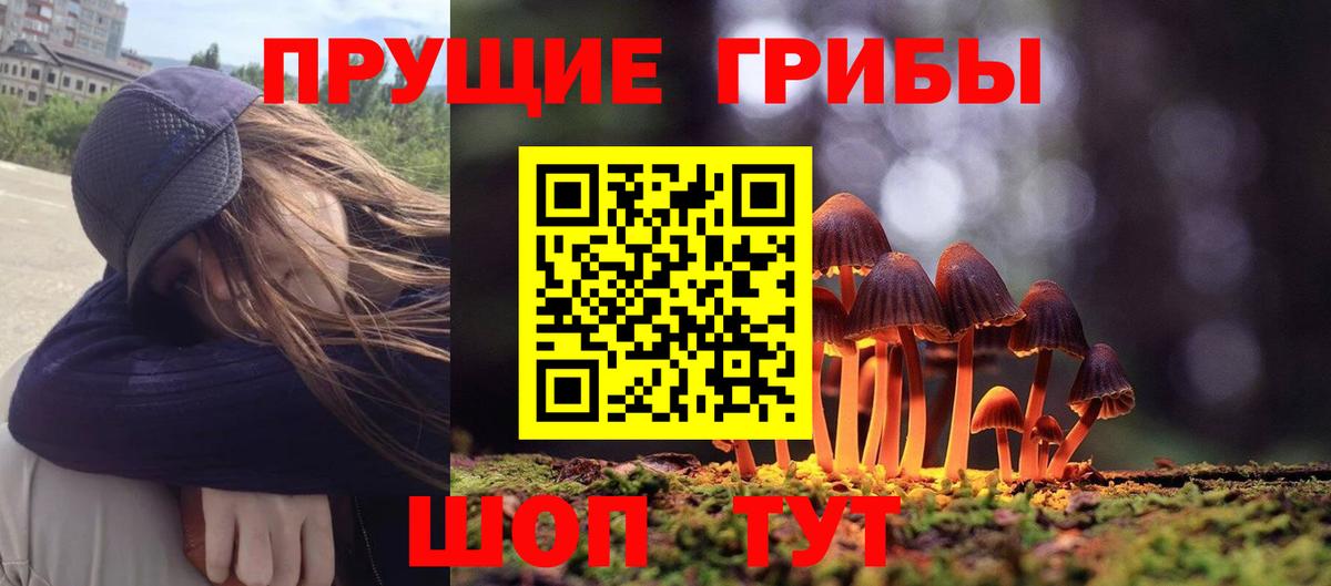 Галлюциногенные грибы мицелий Кингисепп