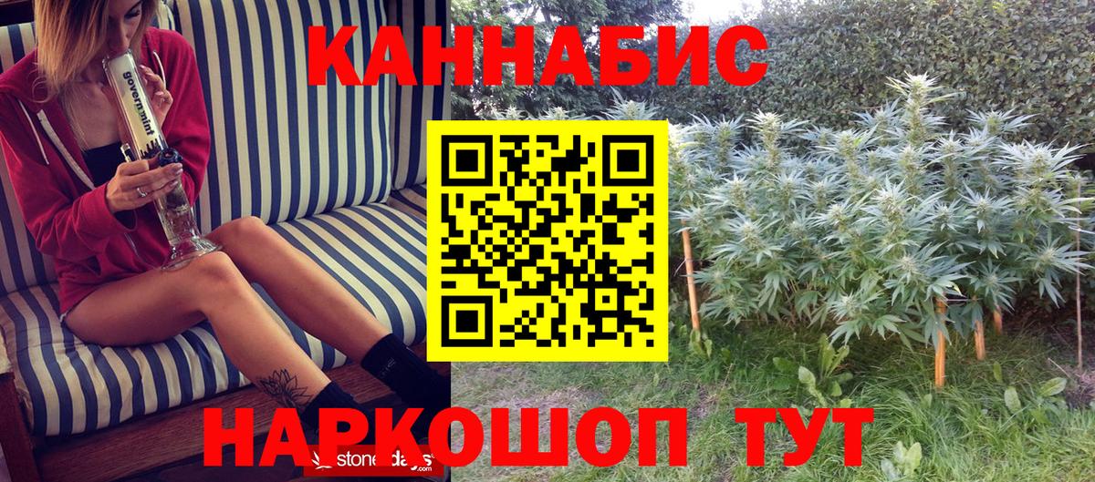 Шишки марихуана Amnesia Кингисепп